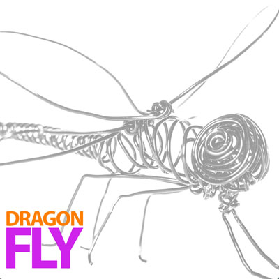 dragonflycover